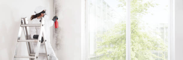 Best Comprehensive Air Testing for Mold Contaminants  in Campbell, FL