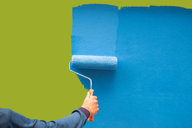 Best Mold Damage Restoration  in Campbell, FL